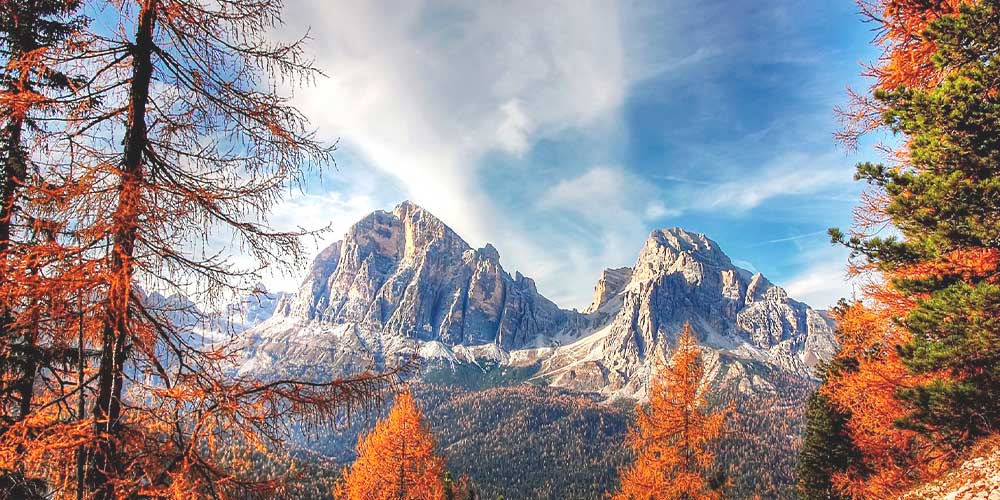 Gestão Passiva ou Gestão Ativa