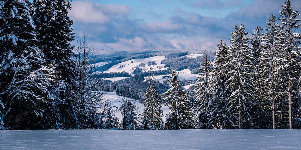 diversificação de investimentos