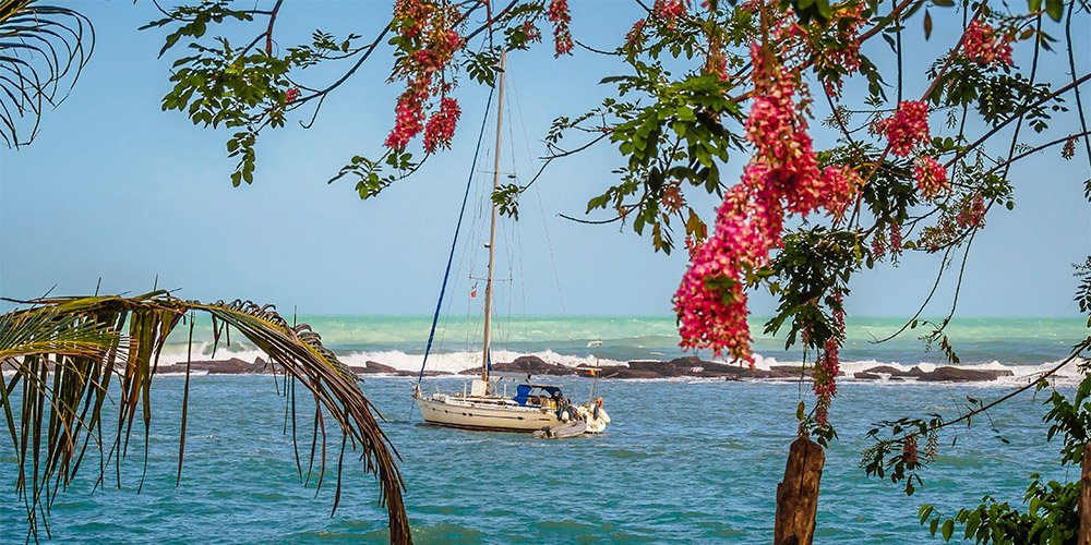 Lifestyle Management