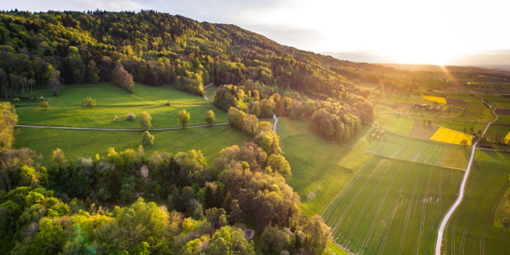 saída definintiva do Brasil
