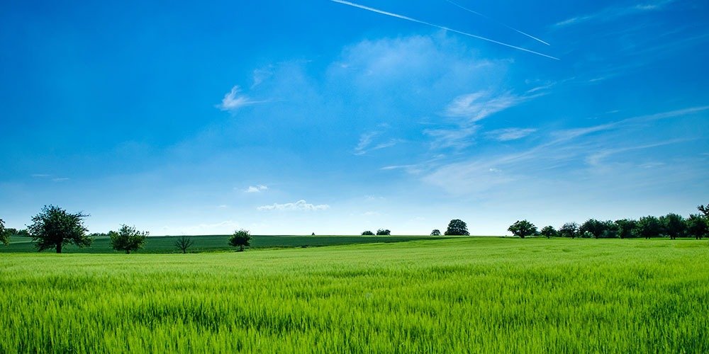 Planejamento patrimonial